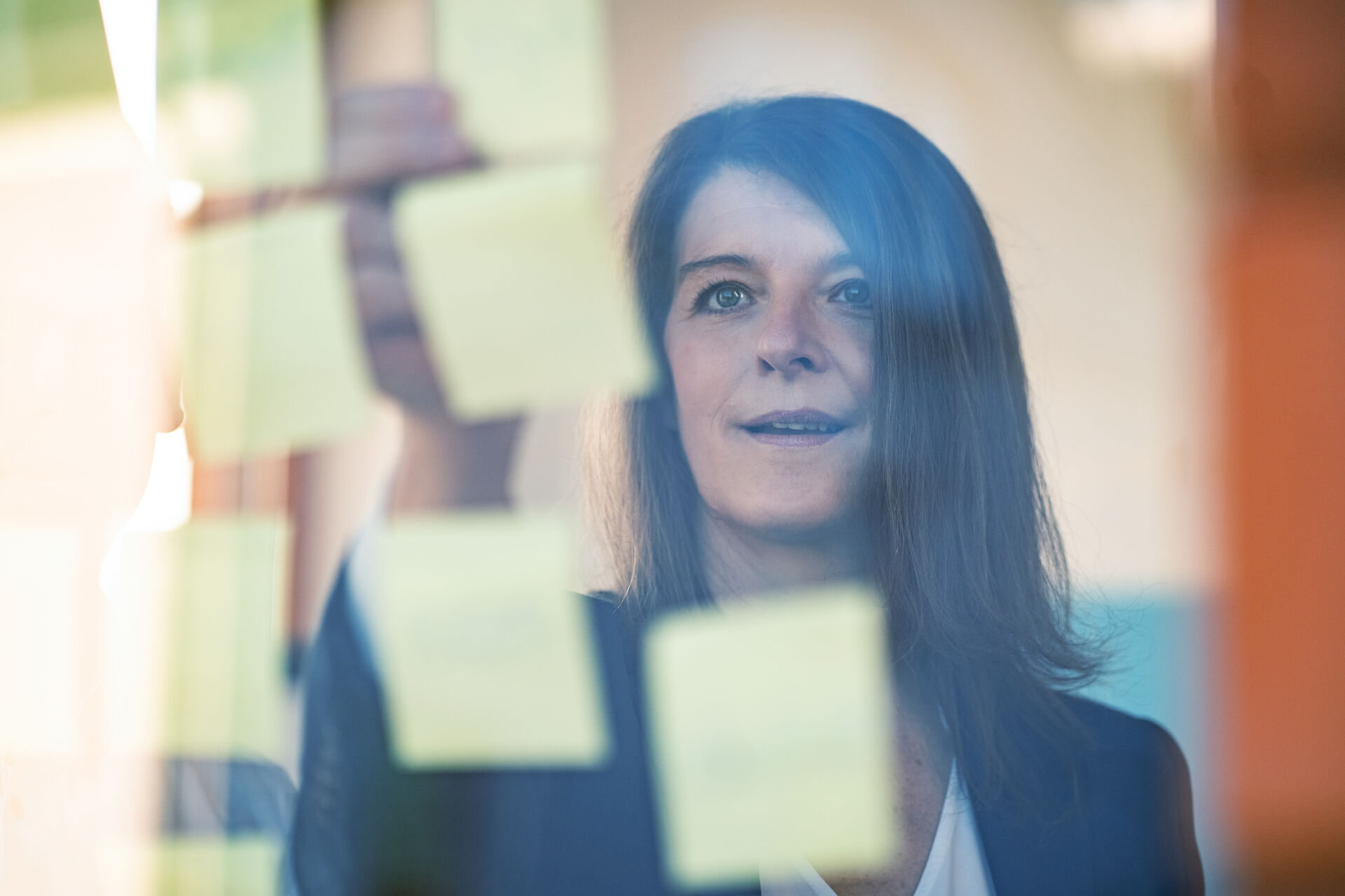 Project management in practice