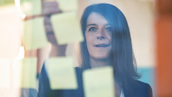 Bild zu Projektmanagement in der Praxis