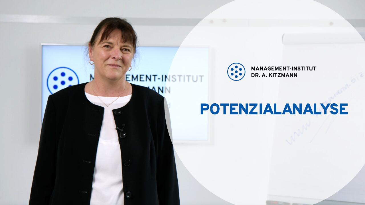 Potenzialanalyse